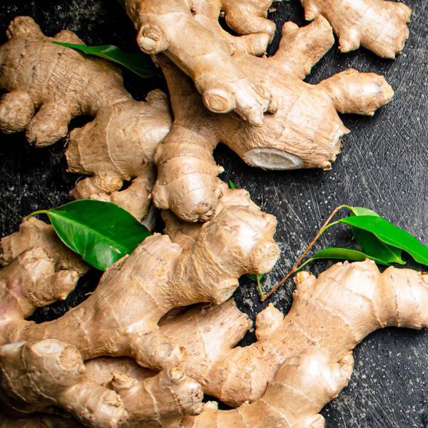 Chicken Care Made Easy: The Complete Guide to Using Ginger