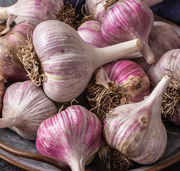 The Ultimate Guide to Garlic for Chicken Health: Benefits, Preparation, and Dosage