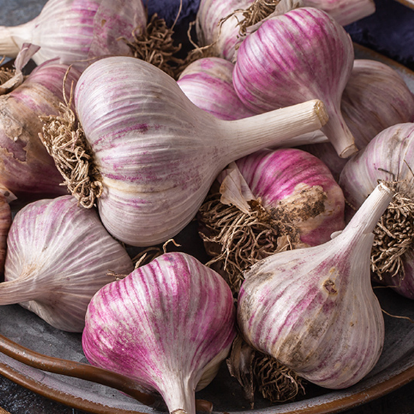 The Ultimate Guide to Garlic for Chicken Health: Benefits, Preparation, and Dosage